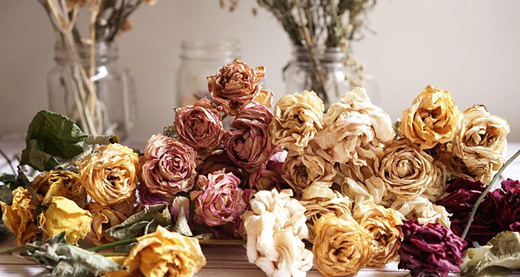 Bloemen