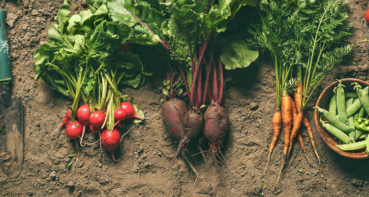 Landbouwproducten