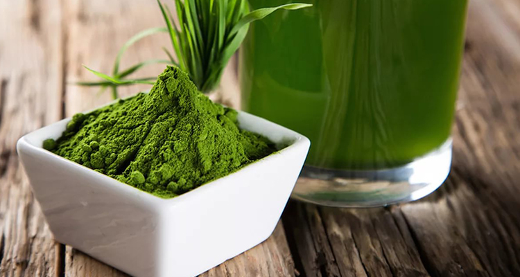 Plantenextract