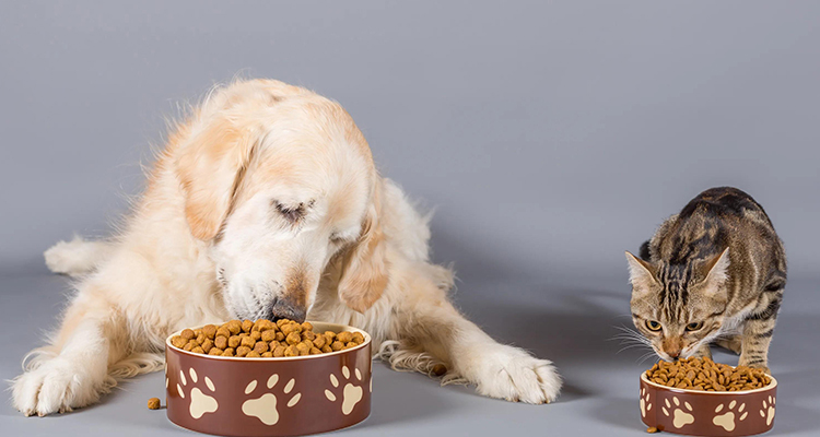 Voedsel voor huisdieren/snacks
