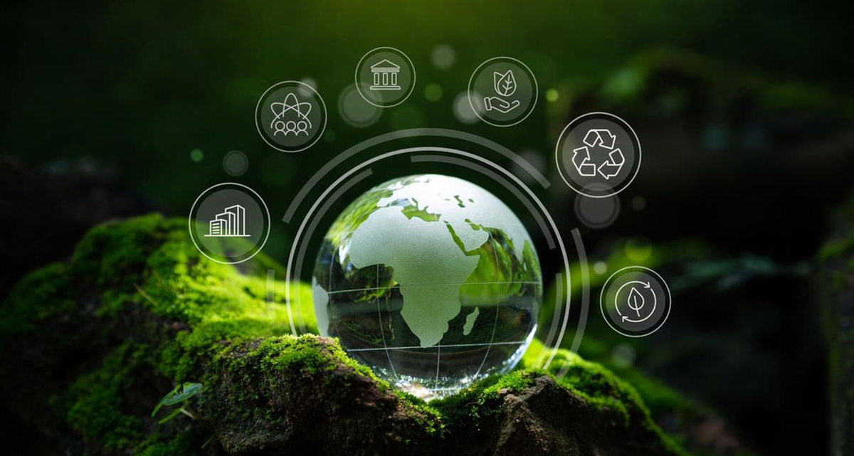 Sieno Vriesdroogtechnologie Research Institute (Jiangsu) Co., Ltd