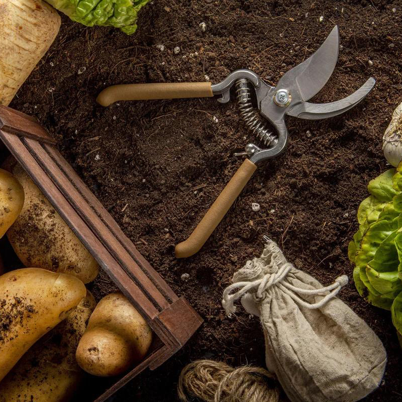 Bellenreiniger voor landbouwproducten