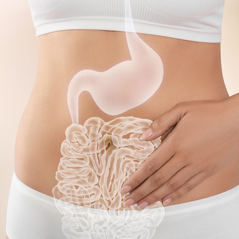 Driedimensionale bewegingsmixer voor gevriesdroogde producten voor de gastro-intestinale gezondheid